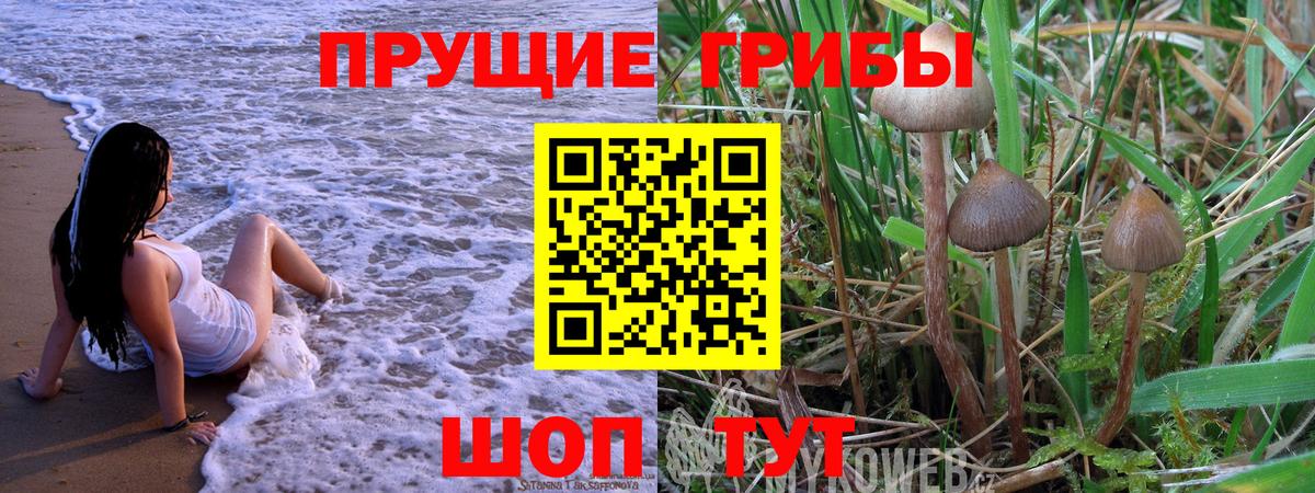 Галлюциногенные грибы Cubensis  Псилоцибиновые грибы Psilocybine cubensis  Вятские Поляны  Вход с VPN 